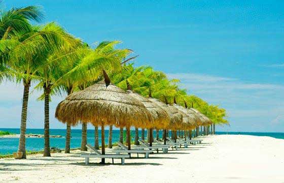 tour ninh chu