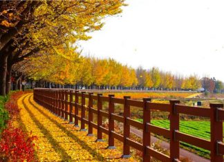 07 quốc gia ở Châu Á được chọn lựa du lịch nhiều nhất