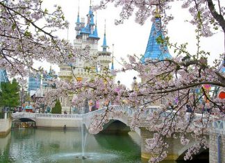 Du khách choáng ngợp trước không gian rộng lớn tại công viên Seoul – Hàn Quốc