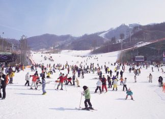 Bạn biết gì về Everland – Công viên giải trí hàng đầu Hàn Quốc?