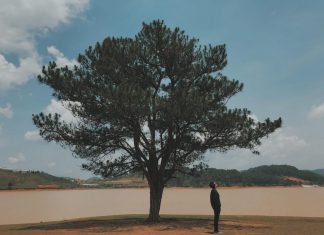 Du lịch Đà Lạt “xứ xở ngàn hoa” khung cảnh thiên nhiên huyền bí tour du lich da lat