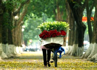 Tham khảo kinh nghiệm du lịch Hà Nội mùa thu với những điều đặc biệt