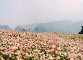 tou dong bac mua thu