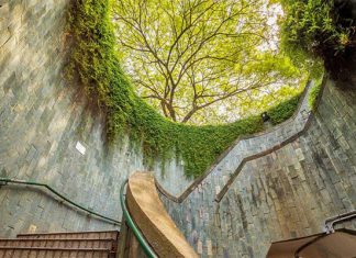 Check-in thiên đường sống ảo tại Fort Canning Park khi du lịch Singapore Check-in thiên đường sống ảo tại Fort Canning Park khi du lịch Singapore