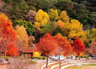 Trang trại Wuling – thiên đường du lịch sinh thái nổi tiếng Đài Loan Trang trại Wuling - thiên đường du lịch sinh thái nổi tiếng Đài Loan